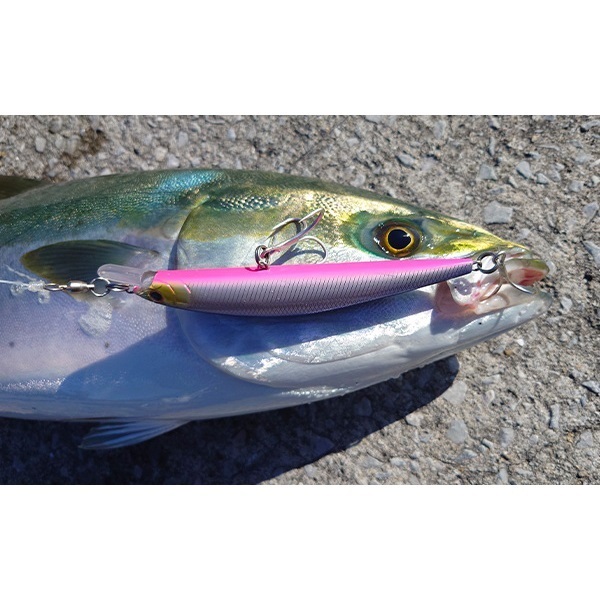 ワイドシーカー